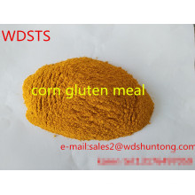 Qualitäts-Protein-Pulver-Mais-Gluten-Mahlzeit für Geflügel